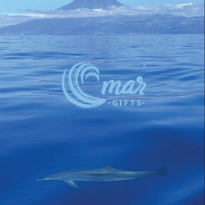 Catálogo Relâmpago